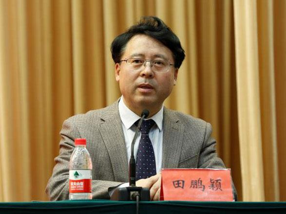 田鵬穎：投入其中、樂在其中、安身其中
